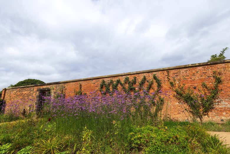 Un mur décoré de fleurs