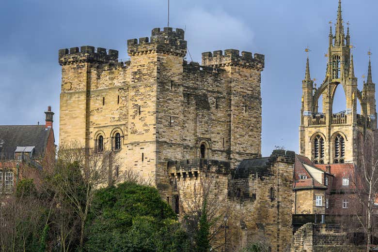 Castillo de Newcastle