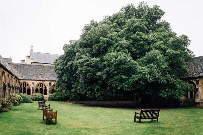 O claustro de New College