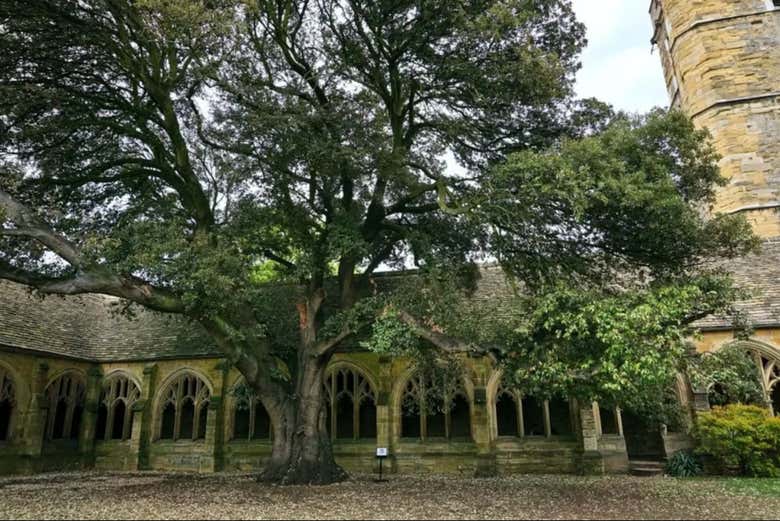 Patio interior en New College