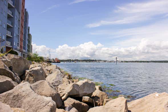 Poole Harbour Islands Cruise