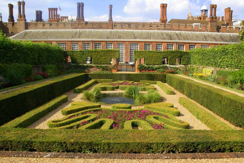 The garden