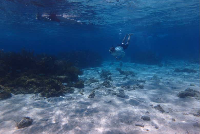 Practicando snorkel en Gran Caimán