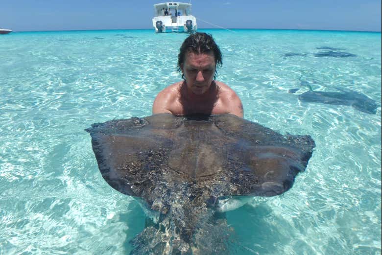 Será un día en el paraíso inolvidable