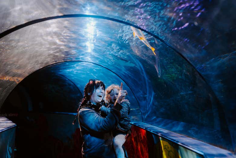 En el túnel de SEA LIFE Weymouth