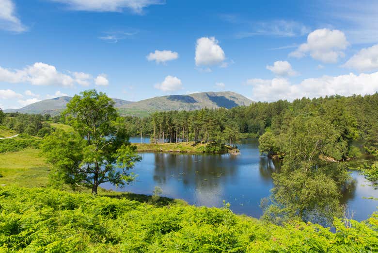 Tarn Hows