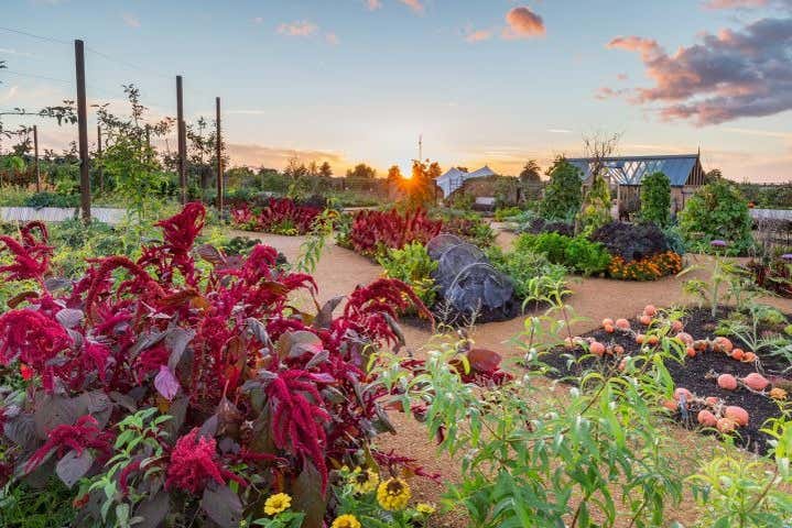 Un jardin plein de couleurs