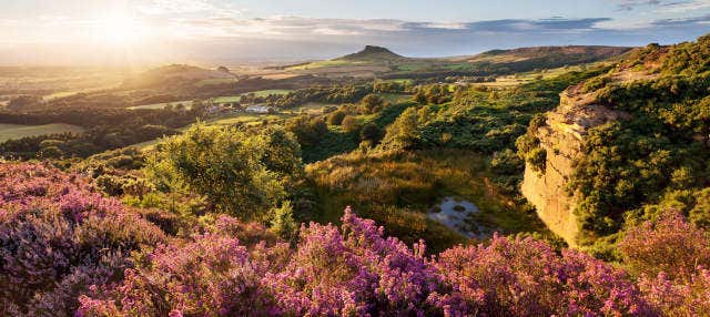 Excursión al Parque Nacional North York Moors y Whitby