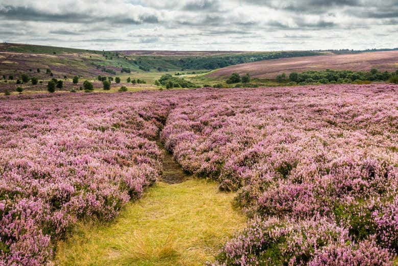 Beautiful views of the moors