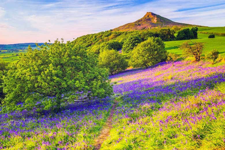 North York Moors National Park