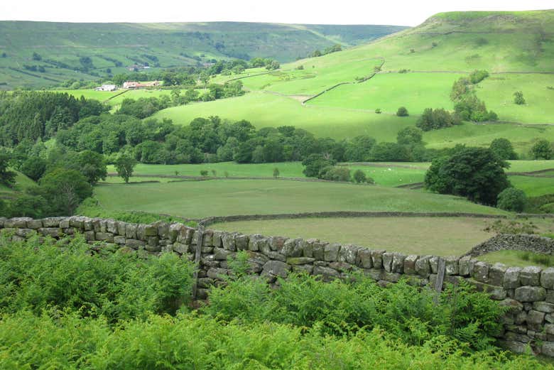 Paisaje del Parque Nacional Yorkshire Dales