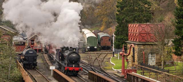 Moors, Whitby & The Yorkshire Steam Railway Day Trip