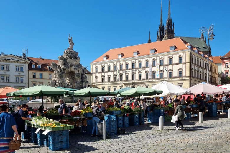 Check out one of the oldest markets in Brno