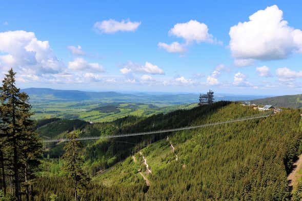 Excursión al Sky Bridge y Sky Walk
