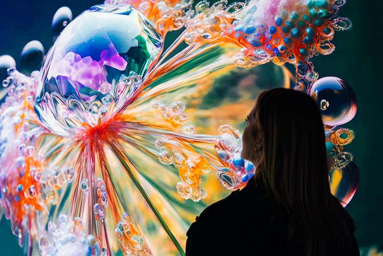 Viendo más allá de los colores y formas