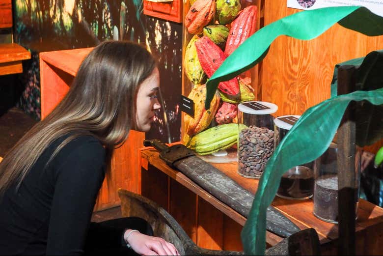Observando los granos de cacao en el Choco Story de Praga