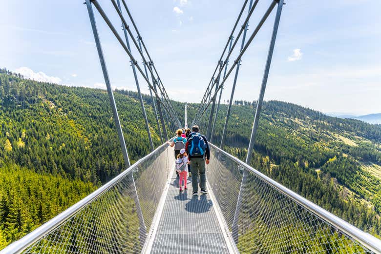 Walk across Sky Bridge
