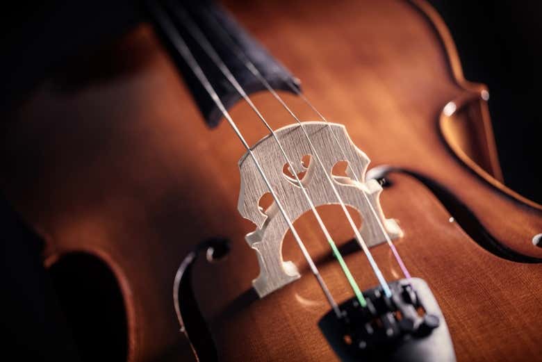 Violonchelo de madera