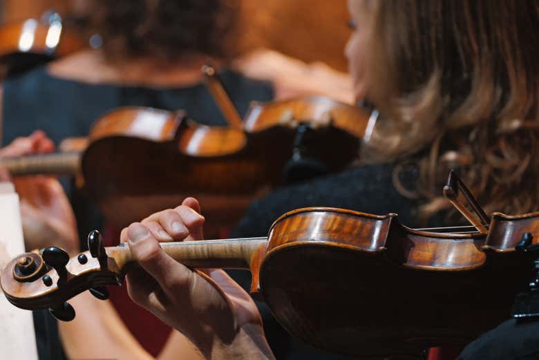 Músicos durante el concierto