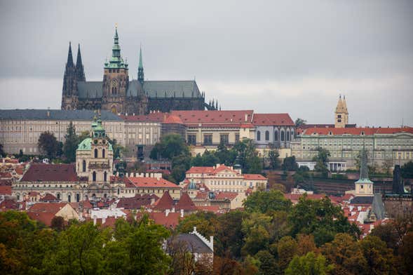 Guided tour of the Lobkowicz Palace