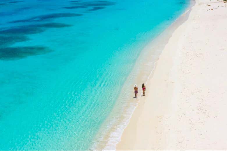 Recorriendo el paraíso