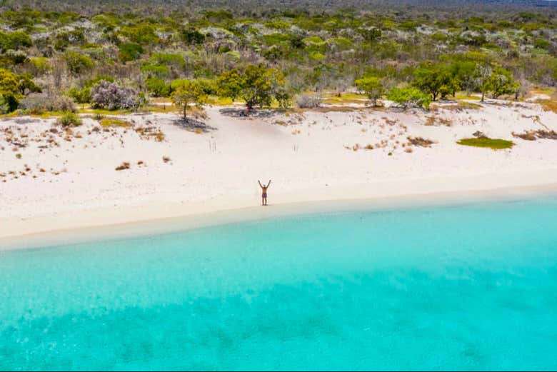 Podréis explorar la zona a vuestro aires