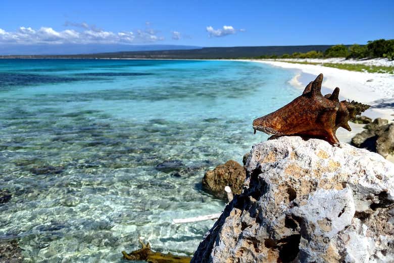 Bahía de las Águilas