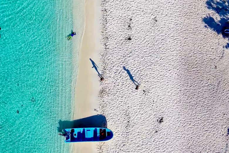 ¡Será una gran experiencia!