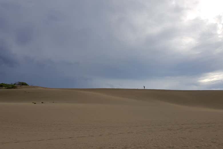 Dunes du désert