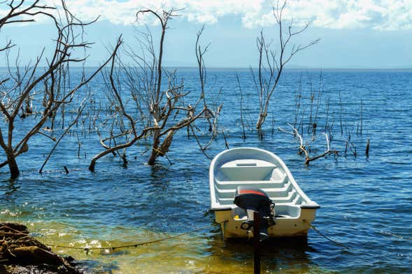Excursión al lago Enriquillo con avistamiento de cocodrilos
