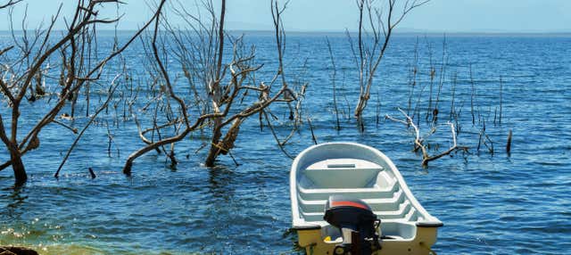 Excursión al lago Enriquillo con avistamiento de cocodrilos