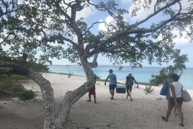Contemplando il paesaggio della zona