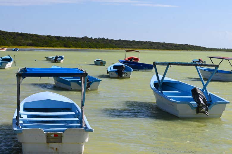 Le imbarcazioni del tour