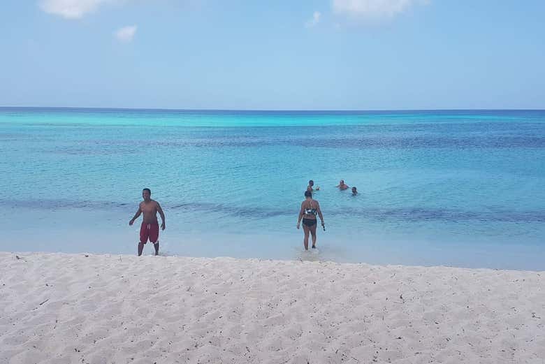 Pronti a fare il bagno