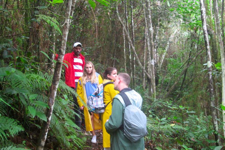 Un gruppo di persone che fanno un'escursione a Paraiso