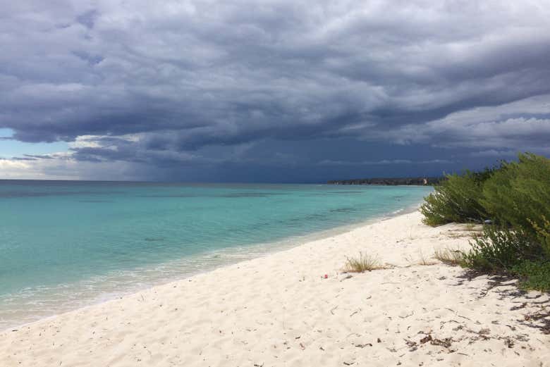La spiaggia di Bahía de las Águilas