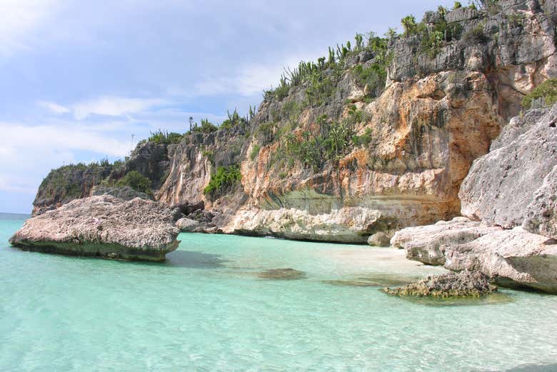 Sarà amore a prima vista!