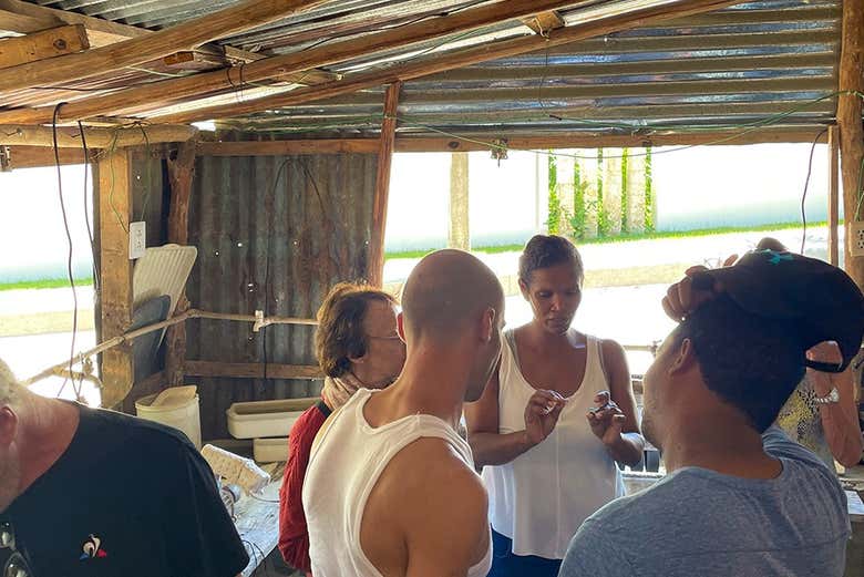 Visiteremo un laboratorio artigianale