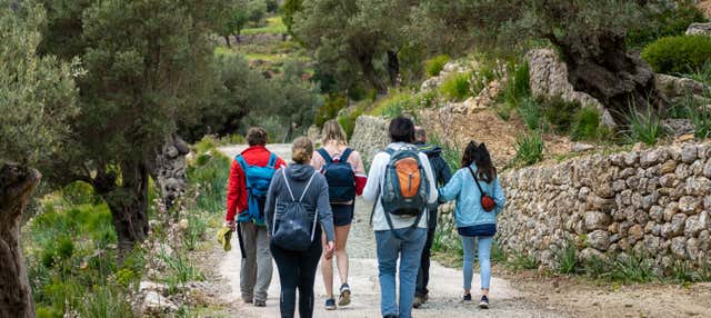 Hiking in Paraíso