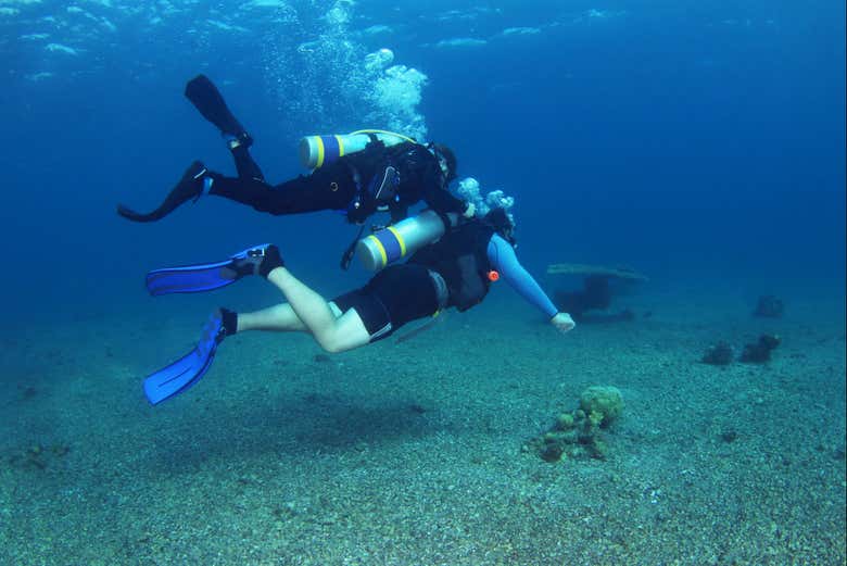 Uma experiência única no fundo do mar!