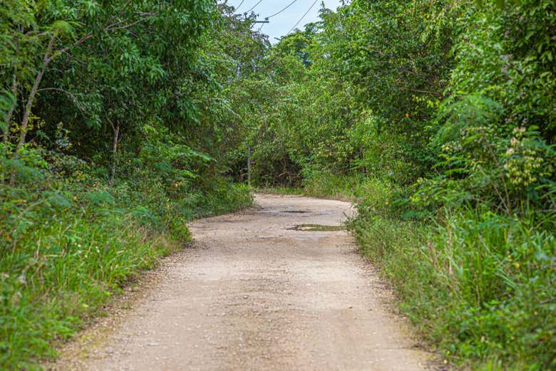 Sentier dans le parc national de Cotubanamá