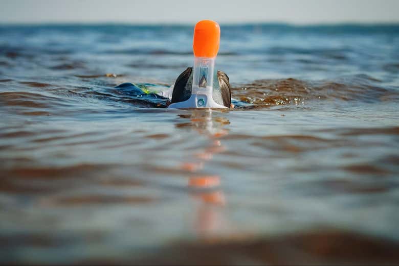 Una persona con gafas de snorkel nadando en el mar Caribe