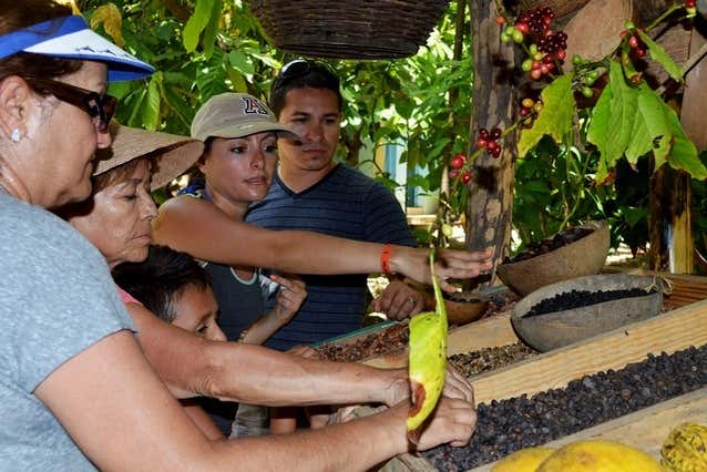 Aprendiendo de café 