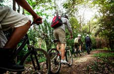 Tour de bicicleta elétrica pelo Parque Nacional Cotubanamá