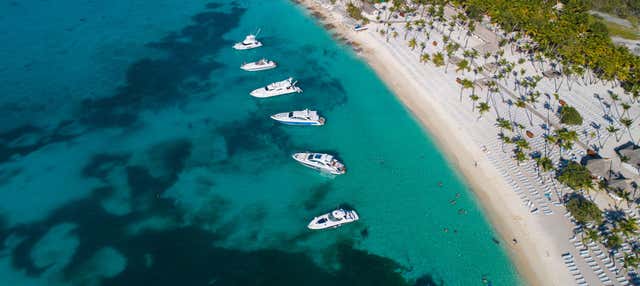 Catalina Island Tour + Snorkelling