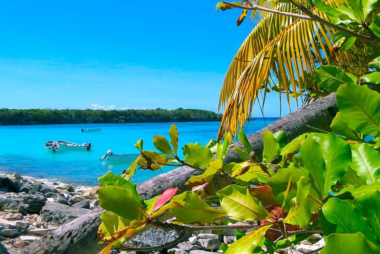 Disfrutando del entorno de Isla Catalina