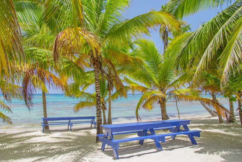 Heavenly beaches of Saona Island