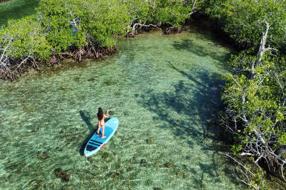 Paddle surf em Boca Chica