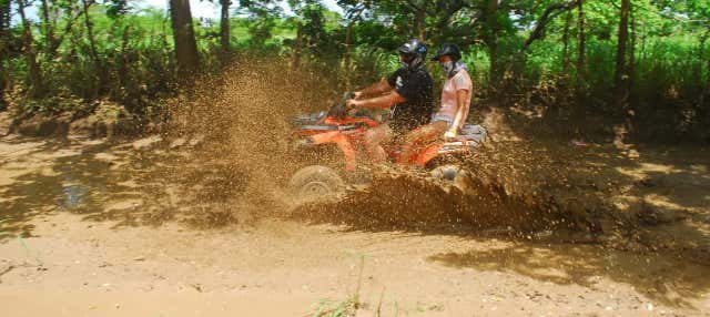 Boca Chica Sugar Cane Fields Quad Tour