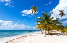 Tour por las playas de isla Saona